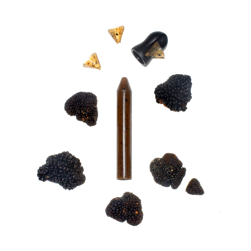 【KUREDORE・クレドレ】Truffe noire/Black truffle/黒トリュフ