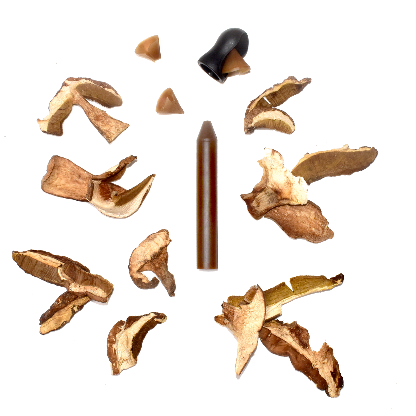 OCNI FACTORY|オクニ・ファクトリー|KUREDORE|クレドレ|Cèpe|Porcini mushroom|ポルチーニ茸